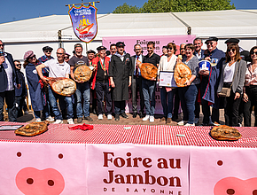 Irudia handitu (modu-leihoa)