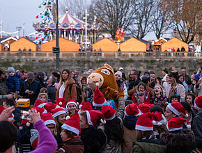 Irudia handitu (modu-leihoa)