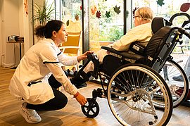 Irudia handitu (modu-leihoa)