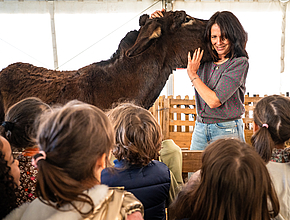 Irudia handitu (modu-leihoa)
