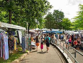 Irudia handitu (modu-leihoa)