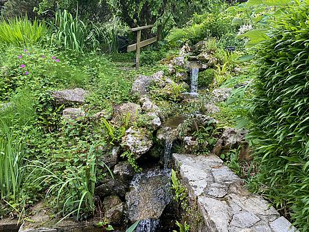 Irudia handitu (modu-leihoa)