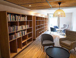 Irudia handitu (modu-leihoa)