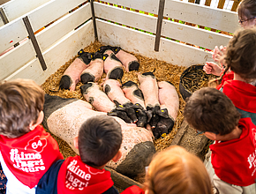 Irudia handitu (modu-leihoa)