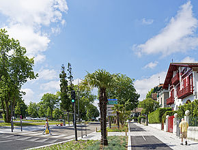 Irudia handitu (modu-leihoa)