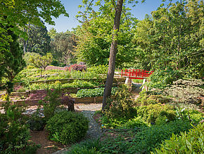 Irudia handitu (modu-leihoa)