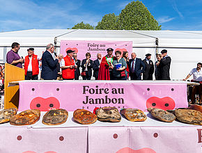 Irudia handitu (modu-leihoa)