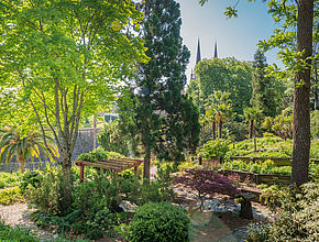 Irudia handitu (modu-leihoa)