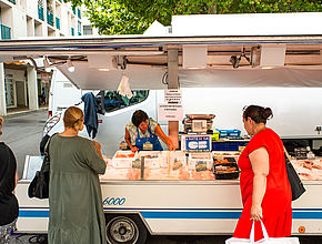 Irudia handitu (modu-leihoa)