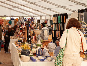 Irudia handitu (modu-leihoa)