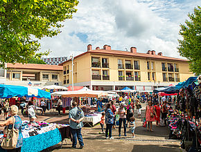 Irudia handitu (modu-leihoa)