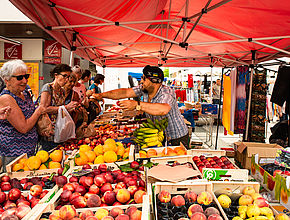 Irudia handitu (modu-leihoa)