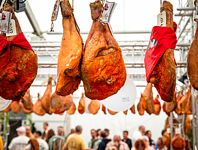 Irudia handitu (modu-leihoa)