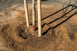 i - Irudia handitu (modu-leihoa)