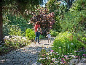 Irudia handitu (modu-leihoa)