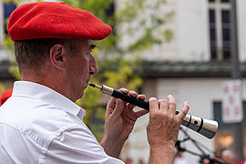 Irudia handitu (modu-leihoa)