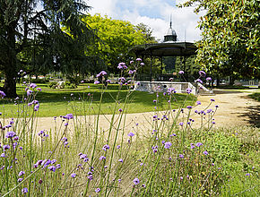 Irudia handitu (modu-leihoa)