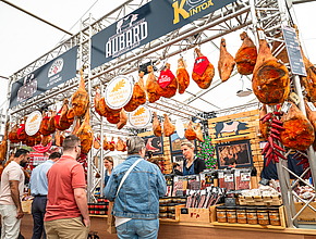 Irudia handitu (modu-leihoa)