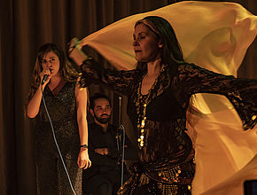 Irudia handitu (modu-leihoa)