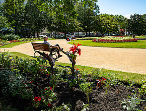 Irudia handitu (modu-leihoa)