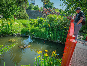 Irudia handitu (modu-leihoa)