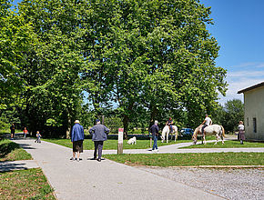 Irudia handitu (modu-leihoa)