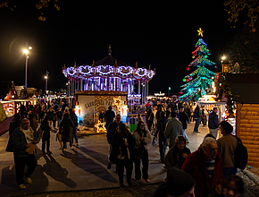 Irudia handitu (modu-leihoa)