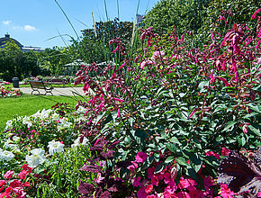 Irudia handitu (modu-leihoa)