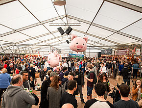 Irudia handitu (modu-leihoa)