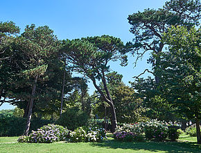 Irudia handitu (modu-leihoa)