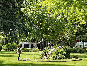 Irudia handitu (modu-leihoa)