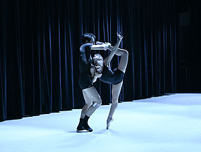 Irudia handitu (modu-leihoa)