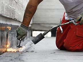 Irudia handitu (modu-leihoa)