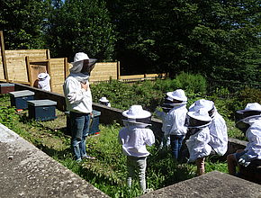 Irudia handitu (modu-leihoa)