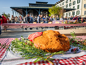 Irudia handitu (modu-leihoa)