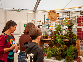 Irudia handitu (modu-leihoa)