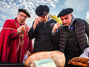 Irudia handitu (modu-leihoa)