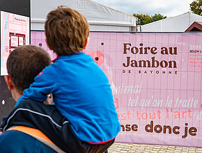 Irudia handitu (modu-leihoa)