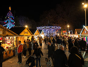 Irudia handitu (modu-leihoa)