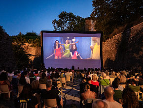 Irudia handitu (modu-leihoa)