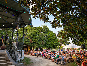 Irudia handitu (modu-leihoa)