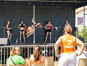 Irudia handitu (modu-leihoa)